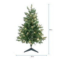 Kurt Adler 3-Foot Pre-Lit Clear Incandescent Jackson Pine Tree