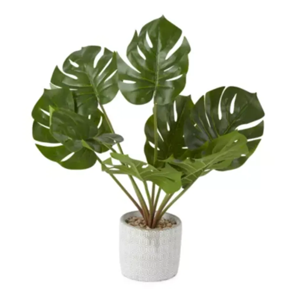 Distant Lands 20" Monstera Artificial Plant