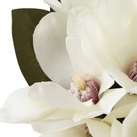 Linden Street Magnolia Floral Arrangement