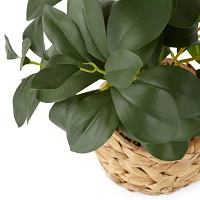 Linden Street 21" Water Hyacinth Basket Artificial Plant