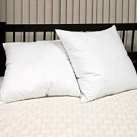 Euro Square Feather 2-Pack Pillows