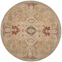 Safavieh Rishi Traditional Area Rug