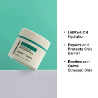 Beautystat Universal Pro-Bio Moisture Boost Cream