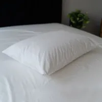 Sealy All Night Pillow Protector
