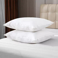 Royal Velvet Feather 2 Pack Pillow