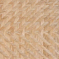 Lisa Dining Chair