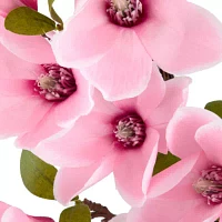 Linden Street 22in Pink Magnolia Wreath