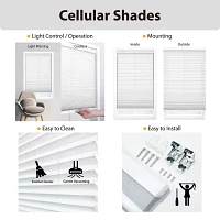 Eco Estates Honeycomb Cut-to-Width Cordless Light-Filtering Cellular Shades