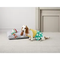 Paw & Tail Dog Dress