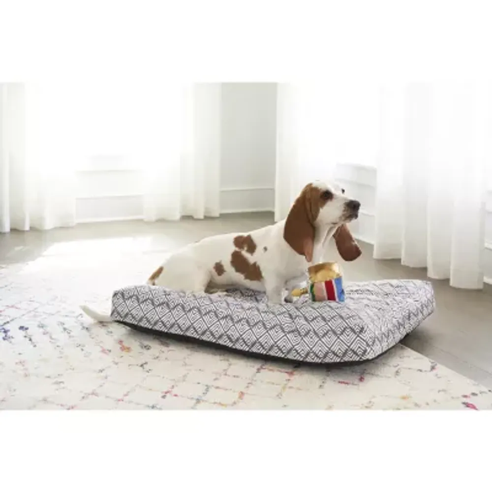 Paw & Tail Cake And Purse 2-pc. Dog Plush Toy