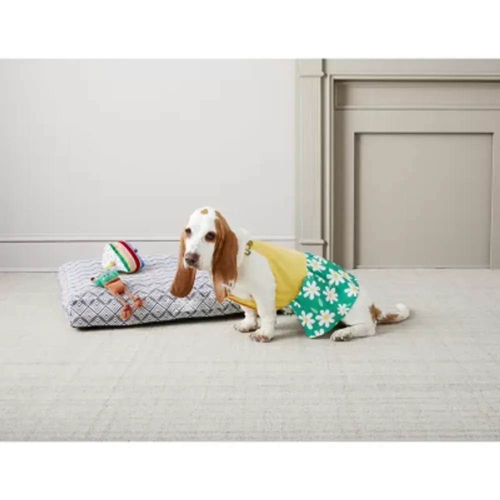 Paw & Tail Cake And Purse 2-pc. Dog Plush Toy