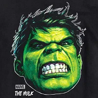 Mens Short Sleeve Hulk Marvel Graphic T-Shirt