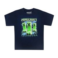 Little & Big Boys Crew Neck Short Sleeve Minecraft Graphic T-Shirt