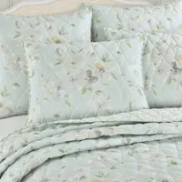 Queen Street Cadie Hypoallergenic Pillow Sham