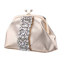 N By Nina Crystal Frame Evening Bag