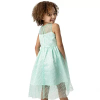 Rare Editions Little Girls Embellished Sleeveless Flower Girl Fit + Flare Dress