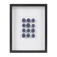 Martha Stewart Indigo Shells Sea Urchin Shadow Box Art