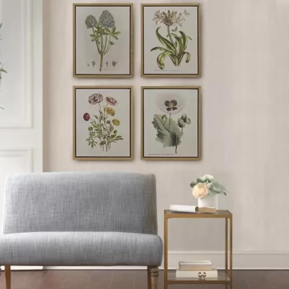 Martha Stewart Herbal Botany Botanical Illustration 4-pc. Framed Wall Art Sets