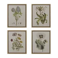 Martha Stewart Herbal Botany Botanical Illustration 4-pc. Framed Wall Art Sets