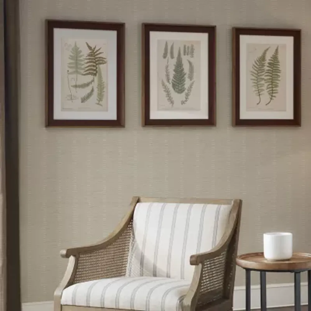 Martha Stewart Lady Fern Collection Botanical Illustration 3-pc. Framed Wall Art Sets