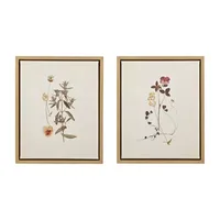 Martha Stewart French Herbarium 2-pc. Wall Art Sets