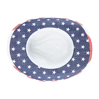 Wembley Mens Cowboy Hat