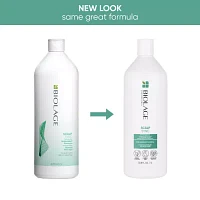 Biolage Scalp Sync Anti-Dandruff Shampoo - 33.8 oz.