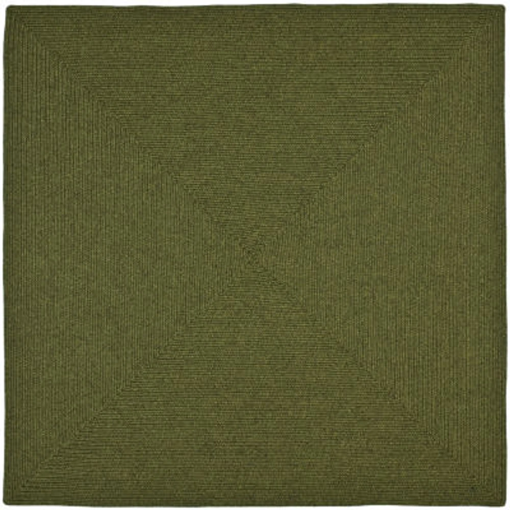 Safavieh Caryl Braided Rug