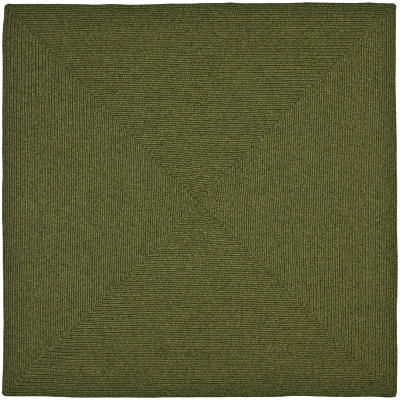 Safavieh Caryl Braided Rug