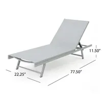 Salton 2-pc. Patio Lounge Chair