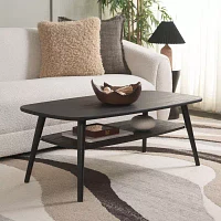 Karou Storage Coffee Table