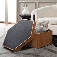 Rafaela Storage Coffee Table
