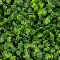 Northlight 16in Two Tone Green Boxwood Artificial Plant