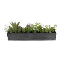 Northlight 23in Mixed Succulent Artificial Plant
