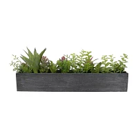 Northlight 23in Mixed Succulent Artificial Plant