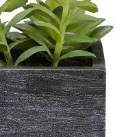 Northlight 23in Mixed Succulent Artificial Plant