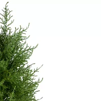 Northlight 2ft Real Touch™ Cedar Pine Petite Arborvitae In Round Pot Artificial Tree