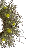 Northlight 20in Burrs And Craspedia Twig Yellow And Green Wreath