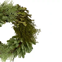 Northlight 14in Cedar Succulent And Day Grass Green Wreath