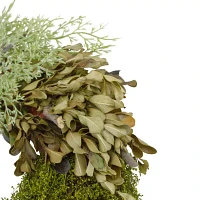 Northlight 14in Cedar Succulent And Day Grass Green Wreath