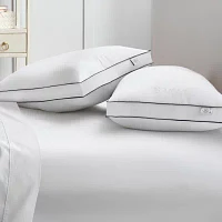 Gaiam Aero Loft Down Alternative Pillows