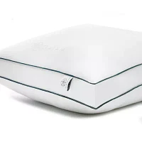Gaiam Aero Loft Down Alternative Pillows