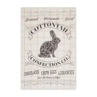 Design Imports Asst Cottontail Cottage Printed Oversize Flour Sack 3-pc. Dish Cloths