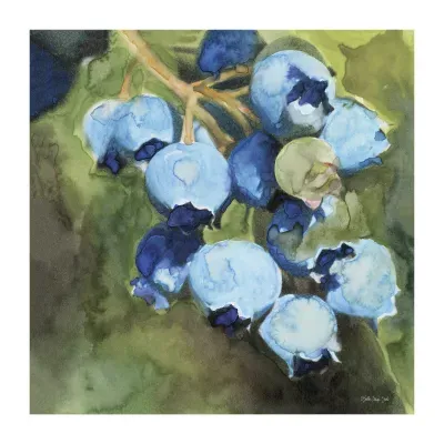 Lumaprints Blueberries I Traditional Canvas Art