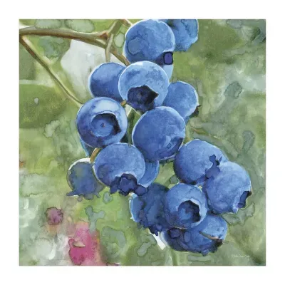 Lumaprints Blueberries Ii Traditional Canvas Art