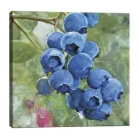 Lumaprints Blueberries Ii Traditional Canvas Art