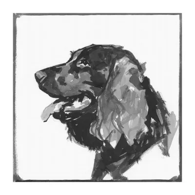 Lumaprints Spaniel Traditional Canvas Art