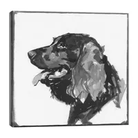 Lumaprints Spaniel Traditional Canvas Art