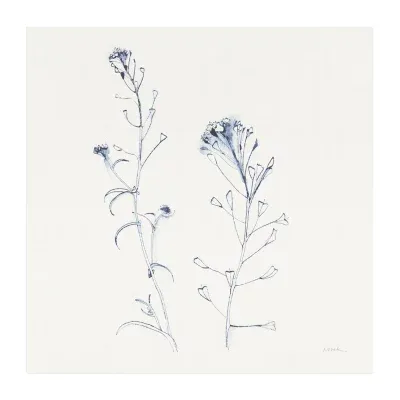 Lumaprints Shepherds Purse Stems I Blue Canvas Art