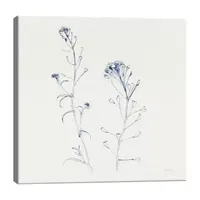 Lumaprints Shepherds Purse Stems I Blue Canvas Art